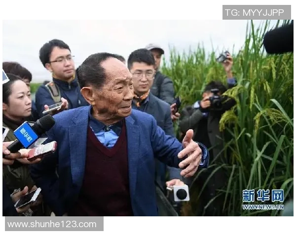 姚明携手农业科技推动稻种子创新助力中国粮食安全与可持续发展